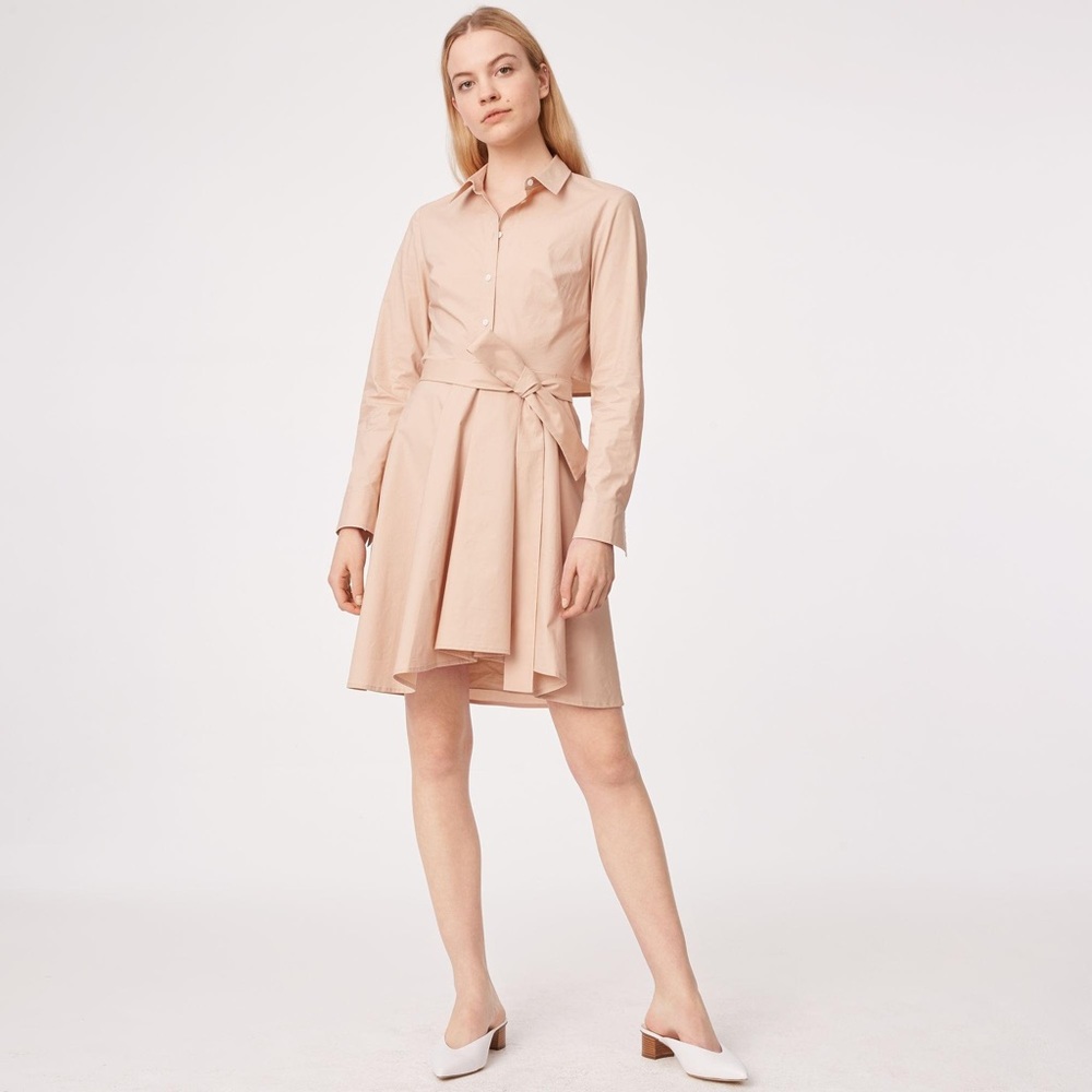 Club Monaco Shapiro Dress